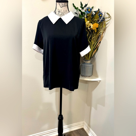 verdusa Tops - Versusa Black and White trim Blouse with Peter Pan Collar size small